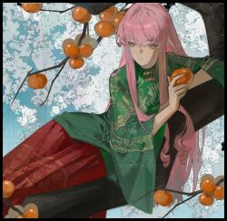 1girl absurdres artist_request black_border border bright_pupils cherry_blossoms chinese_clothes chinese_commentary closed_mouth cloudweaver_attire_(shining_nikki) commentary_request day expressionless eyelashes feet_out_of_frame floral_print flower food fruit green_hanfu hanfu highres holding holding_food holding_fruit in_tree lips long_hair long_sidelocks long_skirt long_sleeves looking_to_the_side lying nikki_(nikki) nikki_(series) on_branch on_side outdoors persimmon pink_eyes pink_hair pink_lips pleated_skirt red_skirt ringlets second-party_source shining_nikki sidelocks skirt solo spring_(season) straight_hair tree very_long_hair white_flower white_pupils wide_sleeves