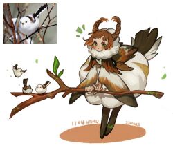 1girl artist_name bird black_thighhighs blush_stickers braid brown_hair c: commentary_request completion_time creature_and_personification dress english_text green_eyes holding holding_staff korean_commentary leaning_forward looking_at_viewer mantle naru9544 original personification photo-referenced puffy_collar smile solo staff thighhighs twin_braids white_background white_dress