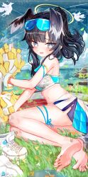 Rule 34 | 1girl, absurdres, aiu ., animal ears, barefoot, black hair, blue archive, blue eyes, breasts, cheerleader, dog ears, dog girl, dog tail, extra ears, eyewear on head, feet, full body, halo, hibiki (blue archive), hibiki (cheer squad) (blue archive), highres, holding, holding pom poms, lying, md5 mismatch, medium breasts, miniskirt, official alternate costume, on grass, on side, open mouth, pleated skirt, pom pom (cheerleading), pom poms, shoes, short hair, side slit, skirt, sneakers, soles, solo, sports bra, tail, toes, unworn shoes, white shoes, yellow halo