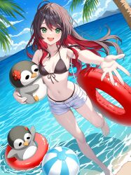 1girl :d absurdres ahoge ball barefoot beach beachball bikini bikini_under_shorts black_bikini black_hair blue_sky breasts cleavage cloud colored_inner_hair commentary_request day dutch_angle front-tie_bikini_top front-tie_top green_eyes highres hizuki_yui holding long_hair looking_at_viewer mole mole_under_eye multicolored_hair navel neo-porte ocean open_mouth outdoors palm_leaf palm_tree reaching reaching_towards_viewer red_hair short_sleeves shorts sidelocks sky small_breasts smile solo stomach sunamama4788 swept_bangs swim_ring swimsuit teeth tree upper_teeth_only virtual_youtuber white_shorts