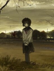 1girl black_skirt branch brown_hair closed_mouth cloud cloudy_sky dot_mouth evening grass grey_eyes grey_pantyhose highres kibishiihiekomi long_sleeves original outdoors pantyhose pleated_skirt power_lines scenery school_uniform serafuku shirt short_hair skirt sky solo standing tree white_shirt
