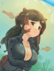 1girl absurdres air_bubble animal_ears arms_under_breasts black_eyes black_hair blush breasts brown_eyes brown_hair bubble cleavage closed_mouth crossed_arms extra_ears fish gloves hair_ornament highres hippopotamus_(kemono_friends) kemono_friends large_breasts llikecoco long_hair long_sleeves multicolored_hair outdoors red_hair smile solo swimsuit two-tone_hair underwater upper_body water