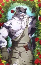1boy abs animal_ears armpit_hair armpits bara biceps cat_nose chest_fur collarbone commentary dislyte english_commentary fangs flower flower_in_mouth furry furry_male grin hedge highres holding holding_shovel jin_qiu_(ru_shou)_(dislyte) looking_at_viewer male_focus muscular muscular_male nipples overalls pectorals red_flower red_rose rose round_eyewear scar scar_across_eye scar_on_face shovel slit_pupils smile tiger tiger_boy tiger_ears tiger_stripes tropos_(purtropos) white_fur white_tiger yellow_eyes