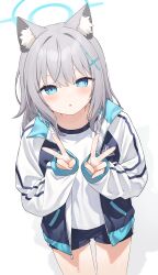 1girl absurdres animal_ears blue_archive blue_eyes blue_halo blue_shorts cowboy_shot double_v halo highres jacket light_blush looking_at_viewer miyayoki open_clothes open_jacket open_mouth shiroko_(blue_archive) shirt shorts simple_background solo v white_background white_shirt
