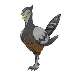animal_focus artist_request bird closed_mouth full_body gen_5_pokemon nintendo no_humans official_art pokemon pokemon_(creature) pokemon_bw pokemon_focus solo third-party_source transparent_background unfezant unfezant_(female) yellow_eyes