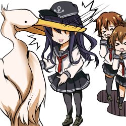 &gt;_&lt; 10s 3girls :d &gt;_&lt; ^^^ akatsuki_(kancolle) bird black_hair black_legwear brown_hair closed_eyes folded_ponytail ikazuchi_(kancolle) inazuma_(kancolle) kantai_collection katta-kun loafers long_hair multiple_girls neckerchief open_mouth pantyhose pelican red_neckerchief school_uniform serafuku shoes skirt smile stork takahiro_(rikky) thighhighs xd
