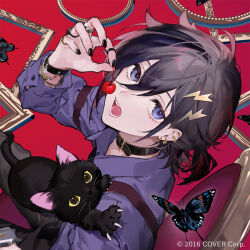 1boy :o album_cover belt_collar black_cat black_hair black_nails blue_eyes bracelet bug butterfly cat cherry collar commentary_request cover ear_piercing earrings food fruit hair_between_eyes hair_ornament highres holding holding_food holding_fruit holostars horiizumi_inko insect jewelry kanade_izuru looking_at_viewer male_focus official_art picture_frame piercing ring solo