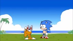 2019 animated blonde_hair blue_fur blue_hair child confused fox gloves grass hedgehog looking_at_another meme multiple_tails ocean petite sega shoes shota sky smile socks sonic_(series) sonic_the_hedgehog sonic_the_hedgehog_(classic) sound spiked_hair spinning spinning_my_tails_(meme) tagme tail tails_(sonic) two_tails video yellow_fur