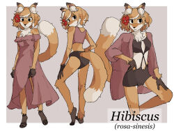 1girl absurdres animal_ear_fluff animal_ears black_pants border commentary dress english_commentary flower fox_ears fox_girl fox_tail full_body furry furry_female grey_background hair_flower hair_ornament headhonchkrow hibiscus highres looking_at_viewer looking_back multiple_views open_clothes open_shirt original outside_border pants pink_dress pink_tank_top purple_shirt red_hair shirt short_hair simple_background skirt_hold standing strapless strapless_dress tail tank_top underwear white_border