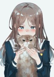 Rule 34 | 1girl, absurdres, animal, bang dream!, bang dream! it&#039;s mygo!!!!!, blue eyes, blue shirt, blush, brown hair, cat, chinese commentary, commentary request, highres, holding, holding animal, holding cat, lkria04, long hair, long sleeves, nagasaki soyo, school uniform, shirt, sidelocks, simple background, solo, tsukinomori school uniform, upper body, white background