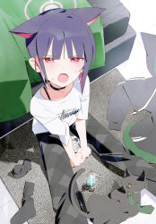 Rule 34 | 1girl, absurdres, animal ears, bed, bell, between legs, black cat, black choker, black hair, blue archive, bm tol, cat, cat ears, cat girl, cellphone, choker, commentary, extra ears, fang, food, green necktie, hair between eyes, hand between legs, highres, jacket, kazusa (blue archive), looking at viewer, macaron, neck bell, necktie, on floor, open mouth, pants, phone, pink eyes, plaid clothes, plaid pants, reisa (blue archive), shirt, sidelocks, sitting, smartphone, socks, sweatdrop, unworn jacket, unworn socks, white shirt