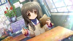 Rule 34 | 1girl, artist request, book, brown eyes, brown hair, brown jacket, clannad, crossover, desk, highres, higurashi no naku koro ni, higurashi no naku koro ni mei, hikarizaka private high school uniform, holding, holding star, ibuki fuuko, indoors, jacket, long hair, long sleeves, looking at object, non-web source, official art, paintbrush, plant, potted plant, reflection, school desk, school uniform, serious, sitting, solo, sparkle, star (symbol), starfish, sunlight, window, wood carving tool