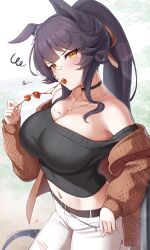 1girl absurdres animal_ears bandaid bandaid_on_face bandaid_on_nose black_choker black_hair black_shirt blush breasts brown_cardigan cardigan chain choker commentary_request dango ear_blush eating food food_in_mouth highres holding holding_skewer horse_ears horse_girl horse_tail jewelry large_breasts long_hair long_sleeves looking_at_viewer midriff mitarashi_dango narita_brian_(umamusume) navel necklace off_shoulder open_cardigan open_clothes pants ponytail shinonome_(shinonome_rynn) shirt skewer solo star_(symbol) star_necklace tail umamusume wagashi white_pants yellow_eyes