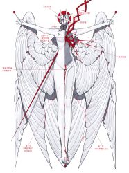 1other absurdres angel angel_wings blood blood_splatter chinese_commentary chinese_text closed_mouth colored_skin commentary_request completely_nude crrn feathered_wings full_body highres long_hair nude original polearm solo spear stab too_many_wings translation_request very_long_hair weapon white_hair white_skin wings