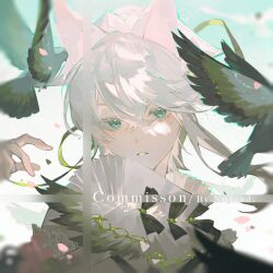 1boy animal_ears bird cat_ears colored_eyelashes green_eyes hair_between_eyes hair_ribbon noland original pigeon ribbon white_eyelashes white_hair