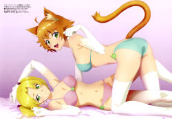 Rule 34 | 2girls, a rank party o ridatsu shita ore wa moto oshiego-tachi to meikyuu shinbu o mezasu, absurdres, animal ears, ass, blonde hair, bra, breasts, brown hair, cat ears, cat tail, elbow gloves, endou kaori, fang, gloves, highres, jamie (aparida), jamie osen, looking at viewer, megami magazine, multiple girls, nene shilfindle (aparida), panties, tail, thighhighs, twintails, underwear