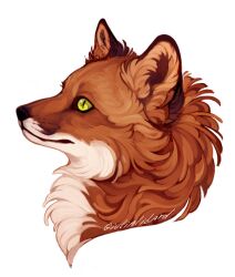 animal animal_ear_fluff animal_focus commentary cropped_head english_commentary fluffy fox from_side giulialibard highres no_humans orange_fur original painterly profile realistic signature simple_background smile solo white_background yellow_eyes