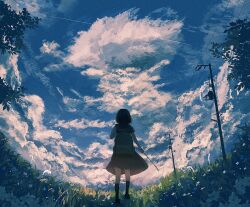 Rule 34 | 1girl, arm at side, backpack, bag, banakotakemaru, black hair, black sailor collar, black socks, blue sky, cloud, cloudy sky, commentary request, contrail, day, field, film grain, fisheye, flower, from behind, from below, grass, grey skirt, hand up, highres, holding, holding stick, medium skirt, original, outdoors, pleated skirt, power lines, sailor collar, scenery, school uniform, serafuku, shirt, short hair, short sleeves, skirt, sky, sky focus, socks, solo, standing, stick, tree, utility pole, white flower, white shirt, wide shot