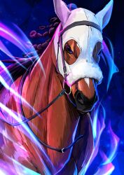 animal_focus aura braid bridle highres horse looking_at_viewer meisho_tabaru_(racehorse) no_humans real_life reins ruisuke tagme
