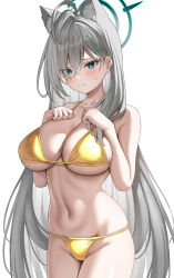1girl absurdres animal_ear_fluff animal_ears bikini blue_archive blush breasts closed_mouth collarbone cross_hair_ornament gold_bikini golden_week golden_week_bikini green_eyes grey_hair hair_ornament halo hands_up highres large_breasts long_hair looking_at_viewer mismatched_pupils nano_(syoutamho) navel shiroko_(blue_archive) shiroko_terror_(blue_archive) simple_background solo stomach swimsuit underboob very_long_hair white_background