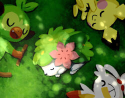 aruco_co closed_eyes closed_mouth commentary day fang gen_2_pokemon gen_4_pokemon gen_8_pokemon grass grookey highres legendary_pokemon lying mythical_pokemon nintendo no_humans on_back on_side open_mouth outdoors pichu pokemon pokemon_(creature) scorbunny shaymin sleeping smile