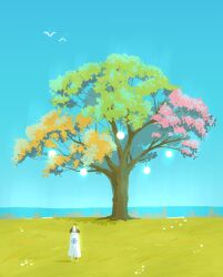 1girl ahoge bird blue_sky brown_hair cape clear_sky enigmatic_recollection field from_behind gigi_murin hashtag-only_commentary highres hololive hololive_english horizon huge_ahoge multicolored_hair outdoors seekorplatypus short_hair sky solo tree twintails two-tone_hair white_cape