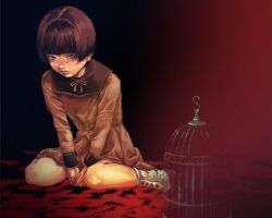 1girl birdcage brown_dress brown_hair cage closed_mouth dress eleanor_(rule_of_rose) feathers full_body gauss_&lt;bokashi green_eyes lips looking_at_viewer rule_of_rose short_hair skirt solo