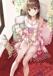 1girl :d absurdres animal bad_id bad_pixiv_id bare_legs bare_shoulders barefoot blunt_bangs blush breasts brown_eyes brown_hair camisole cat cleavage collarbone commentary_request day feet_out_of_frame female_focus hair_ornament hairclip highres indoors long_hair looking_at_viewer matsuzaki_miyuki medium_breasts navel open_mouth original pillow plaid_clothes plaid_scarf scarf short_shorts shorts sitting smile solo spaghetti_strap stomach teeth wool