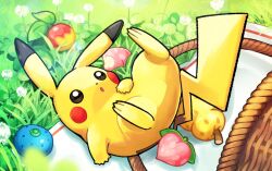 Rule 34 | :o, artist request, basket, berry (pokemon), dandelion, flower, food, fruit, full body, gen 1 pokemon, grass, legs up, leppa berry, lying, nintendo, no humans, on back, open mouth, oran berry, pecha berry, pikachu, pokemon, pokemon (creature), pokemon focus, pokemon tcg, second-party source, sitrus berry, solo