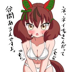 Rule 34 | 1girl, animal ears, blush, bra, breasts, brown eyes, commentary request, ear covers, hair ornament, highres, horse ears, horse girl, horse tail, looking at viewer, medium breasts, medium hair, navel, nice nature (umamusume), open mouth, panties, red eyes, sodeshita marshmallow, sweat, tail, translation request, umamusume, underwear, white background