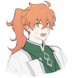 Rule 34 | 1boy, chaldea logo, cropped shoulders, fate/grand order, fate (series), green eyes, high collar, light blush, looking at viewer, myg 8028, open mouth, orange hair, ponytail, romani archaman, solo, surprised, sweatdrop