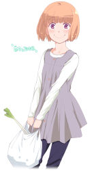1girl bag copyright_name female_focus groceries looking_at_viewer manda_minato nasu_to_altair orange_hair plastic_bag purple_eyes solo spring_onion touge_hiro