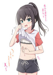 Rule 34 | 1girl, absurdres, black hair, black shorts, blue eyes, blush, bra, breasts, clothes lift, collarbone, commentary request, cowboy shot, drawstring, green eyes, high ponytail, highres, lifting own clothes, looking at viewer, medium hair, midriff, navel, open mouth, original, panties, panty peek, ponytail, red sleeves, shirt, shirt lift, short shorts, short sleeves, shorts, sidelocks, simple background, small breasts, solo, sweat, t-shirt, takasuma hiro, training bra, translation request, underwear, white background, white bra, white panties, white shirt