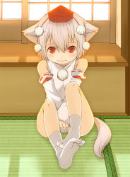 1girl animal_ears bad_feet bare_legs blush detached_sleeves female_focus haragon hat inubashiri_momiji no_pants panties red_eyes short_hair silver_hair socks solo tail tokin_hat touhou underwear white_panties white_socks wolf_ears wolf_tail