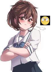 1girl annoyed blowing_steam blush bow brown_eyes brown_hair chest_bow chuo_tanegashima_high_school_uniform cropped_shirt crossed_arms hair_between_eyes high-waist_skirt highres long_hair looking_at_viewer neva_(dir4ct_c) pleated_skirt pout robotics;notes sailor_collar school_uniform senomiya_akiho serafuku shirt short_sleeves skirt solo upper_body white_shirt