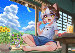 1boy ahoge animal_ears barefoot blouse brown_eyes brown_hair calico cat_boy cat_ears censer cloud contrail cumulonimbus_cloud cup cushion day drink drinking_glass drinking_straw fangs feet flower food full_body giuniu-yo1021 hair_between_eyes handheld_game_console highres incense indie_virtual_youtuber indoors kayari_buta male_focus multicolored_hair nintendo nintendo_switch on_floor open_mouth orange_hair original paw-shaped_pupils popsicle shirt shorts shouji sky slice_of_life sliding_doors solo sunflower symbol-shaped_pupils t-shirt table tatamaru_(vtuber) tatami tongue veranda virtual_youtuber watermelon_bar white_hair white_shirt