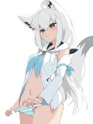 Rule 34 | 1girl, absurdres, ahoge, animal ear piercing, animal ears, aqua eyes, aqua panties, blue neckerchief, breasts, cowboy shot, detached sleeves, fox ears, fox girl, fox tail, highres, hololive, hood, hood down, hoodie, kanoe nagi, long hair, looking down, medium breasts, neckerchief, no pants, panties, panty lift, parted lips, shirakami fubuki, shirakami fubuki (1st costume), sidelocks, simple background, solo, striped clothes, striped panties, tail, underwear, very long hair, virtual youtuber, white background, white hair, white hoodie, white panties, white sleeves