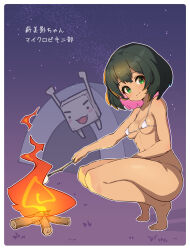 1girl :3 bikini bilingual_commentary blush bonfire breasts character_request closed_mouth commentary covered_erect_nipples dark-skinned_female dark_skin english_commentary from_side full_body green_eyes green_hair highres holding holding_stick looking_at_viewer mefuchan micro_bikini mixed-language_commentary original roasted_marshmallow roasting shadow short_hair skindentation small_breasts smile solo squatting star_(sky) stick swimsuit tent translated white_background white_bikini