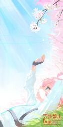 1girl absurdres ahoge black_gloves blue_archive blue_eyes blue_necktie cherry_blossoms closed_mouth fingerless_gloves gloves hand_up highres hoshino_(blue_archive) lying necktie on_back on_grass pink_hair shirt sky solo white_shirt yamaharu_(xxzf7284)