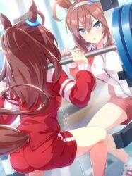 1girl absurdres ahoge animal_ears artist_request ass bare_legs blue_eyes breasts brown_hair collared_jacket crest day determined dot_nose ear_ornament eyelashes eyes_visible_through_hair foot_out_of_frame from_behind full-length_mirror game_cg gym gym_shorts hair_between_eyes high_collar highres horse_ears horse_girl horse_tail indoors jacket light_blush long_hair long_sleeves loose_hair_strand medium_breasts mihono_bourbon_(umamusume) mirror multicolored_jacket official_art open_mouth red_jacket red_shorts reflection shoes short_shorts shorts sneakers socks solo sparkle squatting sweat tail tail_raised tracen_training_uniform track_jacket tsurime two-tone_jacket umamusume v-shaped_eyebrows white_jacket white_shoes white_socks window zipper zipper_pull_tab