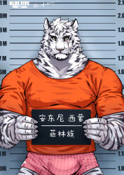 1boy animal_ears arknights bara blue563619 boxers bulge character_name cowboy_shot facial_hair furry furry_male goatee height_mark highres holding holding_sign large_pectorals looking_at_viewer male_focus male_underwear mountain_(arknights) mugshot muscular muscular_male no_pants pectorals pink_male_underwear prison_clothes prisoner scar scar_across_eye scar_on_arm scar_on_face short_hair sign solo straight-on striped_male_underwear thick_eyebrows tiger_boy tiger_ears underwear white_hair