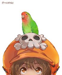 1girl absurdres animal animal_on_head bird brown_eyes brown_hair guilty_gear guilty_gear_strive head_only highres hood hoodie looking_up may_(guilty_gear) mil17459623 mouth_out_of_frame on_head orange_headwear orange_hoodie parrot simple_background skull_and_crossbones upper_body white_background