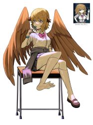 1girl absurdres asdf1211950 barefoot black_souls black_souls_2 blue_eyes bow bowtie brown_hair brown_wings clothes_around_waist collared_shirt feathered_wings feet grey_jacket grey_skirt griffy_(black_souls) gyaru head_wings highres jacket jacket_around_waist long_sleeves looking_at_viewer pink_bow pink_bowtie pleated_skirt shirt shoes short_hair sidelocks simple_background single_shoe skirt sleeves_rolled_up soles solo toes white_background white_shirt wiggling_toes wings