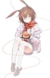 Rule 34 | 1girl, absurdres, alternate costume, amiya (arknights), animal ears, arknights, blue eyes, blue jacket, brown hair, brown shoes, cake, closed mouth, commentary, facing viewer, food, full body, head tilt, highres, holding, holding cake, holding food, jacket, long sleeves, looking ahead, looking at viewer, off shoulder, red scarf, scarf, shoes, simple background, sitting, sketch, smile, solo, thighhighs, white background, white thighhighs, xianyusixu