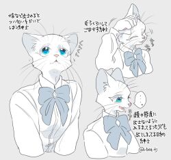 1boy animal_hands babeldj blue_eyes body_fur bow bowtie cat_boy colored_eyelashes commentary_request furry furry_male grey_background male_focus multiple_views original scratching_head shirt simple_background translation_request upper_body white_fur white_shirt