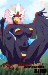 1girl animal_feet arms_up artist_name bare_shoulders barefoot beak bikini bird_girl bird_tail black_fur black_wings blue_sky blurry blurry_foreground body_fur braviary breasts breasts_apart claws cloud collarbone dated day english_text feathered_wings female_focus full_body furry furry_female gen_5_pokemon glasses gradient_hair grass green_hair grey_pupils highres inktober large_breasts looking_at_viewer mature_female multicolored_bikini multicolored_hair navel nintendo open_mouth outdoors peach-cup personification pince-nez pink_hair pokemon pokemon_(creature) purple_eyes red_fur round_eyewear short_hair signature sky solo spread_legs squatting stomach string_bikini striped_bikini striped_clothes swimsuit tail two-tone_fur two-tone_hair underboob winged_arms wings