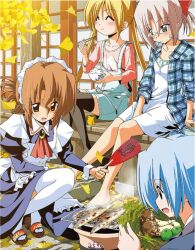 1boy 3girls apron autumn autumn_leaves ayasaki_hayate blonde_hair blue_dress blue_hair brown_hair butler closed_eyes cooking dress feet fish fish_(food) folded_ponytail food formal_clothes ginkgo_leaf ginkgo_tree grill grilled_fish hand_fan harukaze_chiharu hata_kenjirou hayate_no_gotoku! holding holding_fan holding_food jacket jewelry kneeling leaf legs long_hair maid maid_apron maid_headdress maria_(hayate_no_gotoku!) multiple_girls mushroom net outdoors overalls ponytail red_eyes sanzen&#039;in_nagi shirt short_hair sitting suit thighhighs twintails zettai_ryouiki