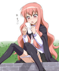 00s 1girl blush bush cape cleft_of_venus female_focus flat_chest groin legs long_hair louise_francoise_le_blanc_de_la_valliere menstrual_pad open_mouth outdoors panties panty_pull pink_hair pussy school_uniform serafuku sitting skirt solo text_focus thighhighs translated uncensored underwear youkan zero_no_tsukaima zettai_ryouiki