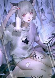 Rule 34 | 1girl, absurdres, animal, animal ears, bad anatomy, bad leg, bandaid, bandaid on knee, bandaid on leg, bandaid on thigh, barefoot, cat ears, cat girl, cat tail, chain, chain bracelet, chain necklace, closed mouth, corset piercing, dead animal, eyelashes, fingernails, fish skeleton, full body, grey hair, highres, holding, holding animal, indoors, jewelry, leg piercing, lipstick, long fingernails, looking at viewer, makeup, mano aaa, mouse (animal), nail polish, necklace, original, print shirt, red eyes, red lips, red nails, shirt, short hair, short shorts, short sleeves, shorts, sitting, slit pupils, solo, t-shirt, tail, toenail polish, toenails, wariza, white shirt, white shorts