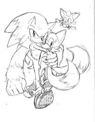 child chip_(sonic) claws fangs fangs_out flying fox hedgehog hug misuta710 multiple_tails sega shota sonic_(series) sonic_the_hedgehog sonic_the_werehog sonic_unleashed sweatdrop tail tails_(sonic) two_tails werehog werewolf